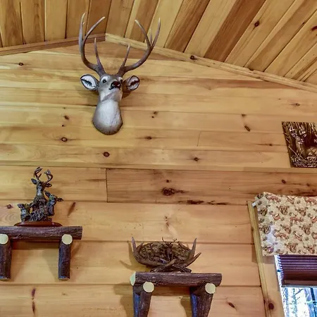 Tree Song Mountain Creek Cabin Ellijay Exterior photo
