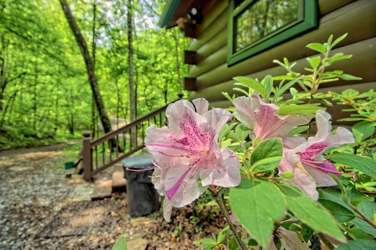 Tree Song Mountain Creek Ferienhaus